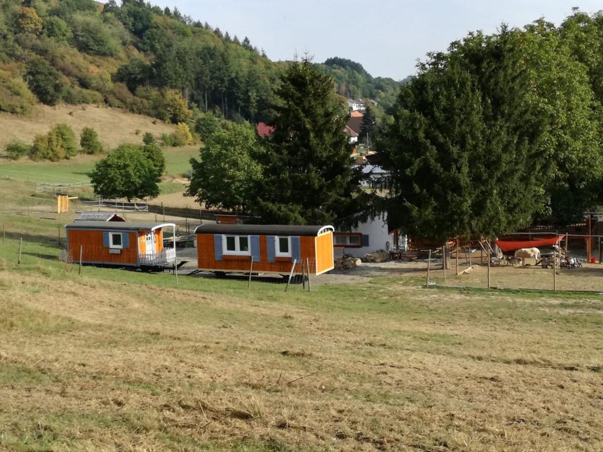 Zuruck Zur Natur - Urlaub Im Zirkuswagen, Sommeratelier Oder Schindelwagen Adenbach Exterior photo