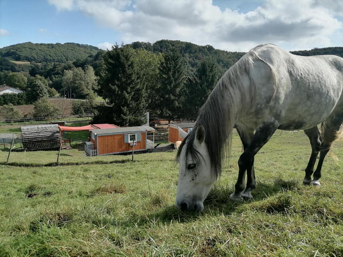 Zuruck Zur Natur - Urlaub Im Zirkuswagen, Sommeratelier Oder Schindelwagen Adenbach Exterior photo