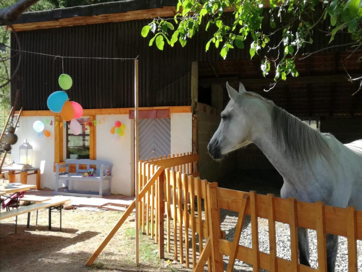 Zuruck Zur Natur - Urlaub Im Zirkuswagen, Sommeratelier Oder Schindelwagen Adenbach Exterior photo